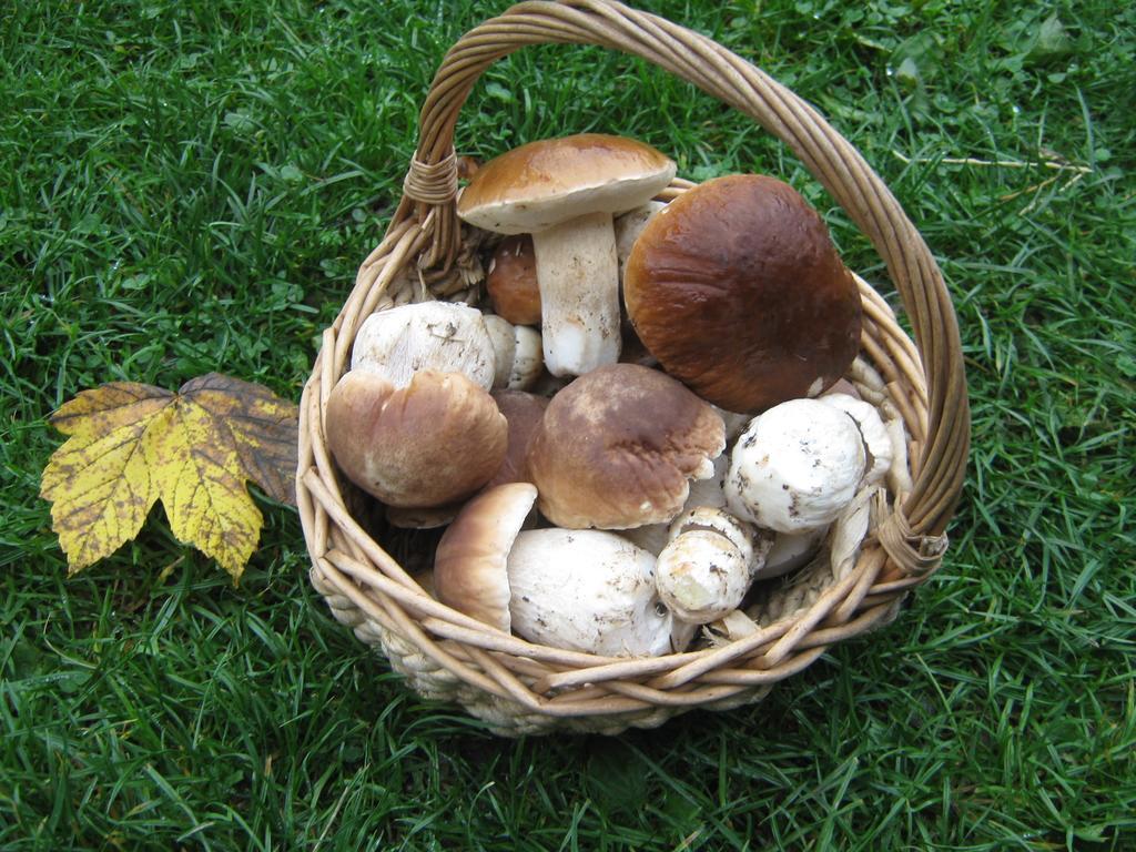 Penzion Pod Dobakom Lazisko Bagian luar foto